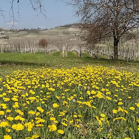 Artemio דירה *